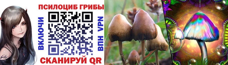 Псилоцибиновые грибы мицелий Шахунья