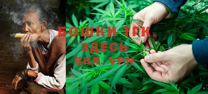 Каннабис марихуана  магазин продажи   Шахунья 